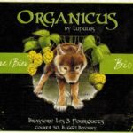 Пиво Lupulus Organicus (Люпулус Органикус) нефильтрованное светлое эль кег 20 л Бельгия